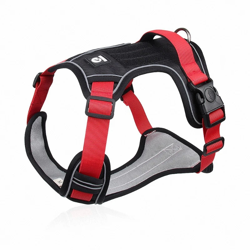 IllumiVest Dog Harness Blue