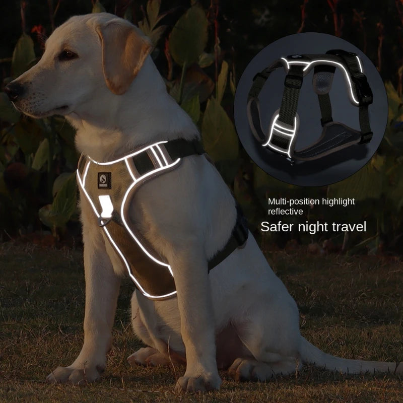 IllumiVest Dog Harness